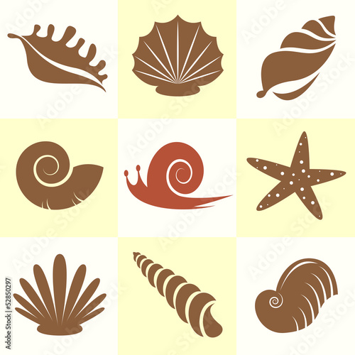 Vector collection of sea shells and snail