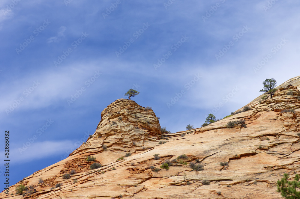 Zion Zion