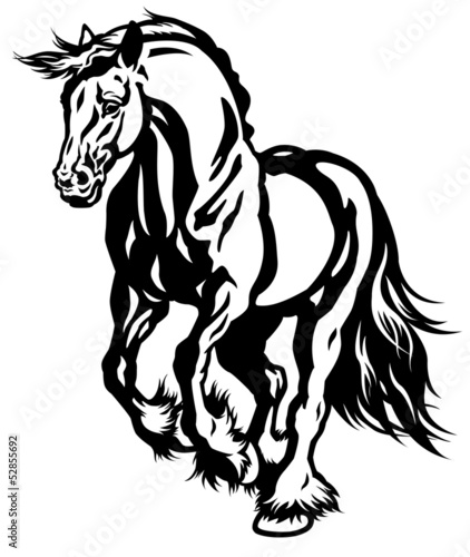 running draft horse black white