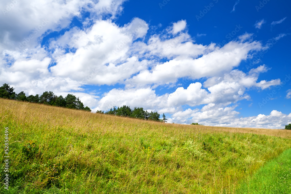 beautiful cloudscape on blue sky over green meadow beautiful cloudscape on blue sky over green meadow