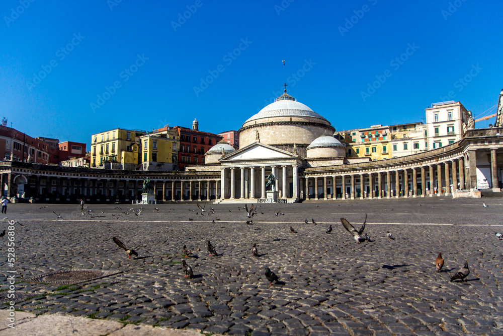 Pigeons near San Francesko Paola, Piazza del Plebiscito, Naples