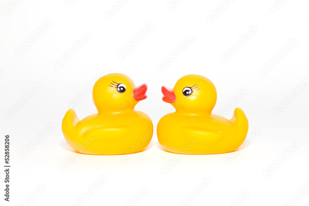 Two ducks facing eachother Two ducks facing eachother