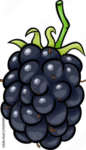blackberry fruit cartoon illustration