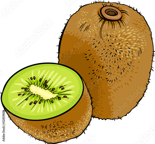 kiwi fruit cartoon illustration