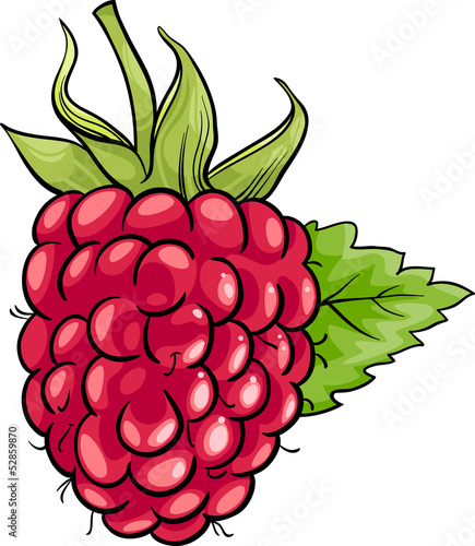 raspberry fruit cartoon illustration