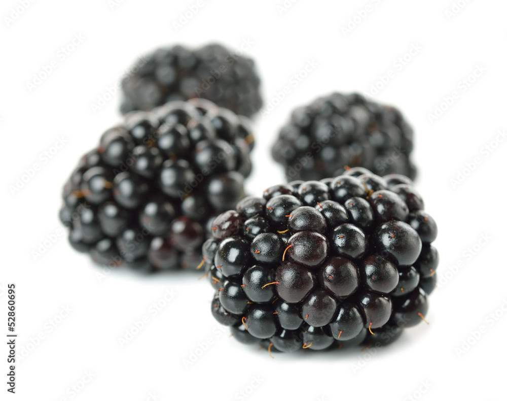 Blackberries isolated on white background Blackberries isolated on white background