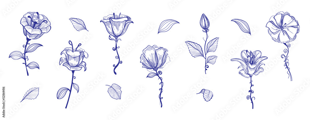 Flowers for decoration Flowers for decoration