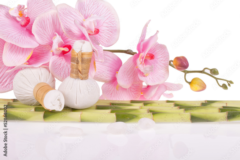 spa spa