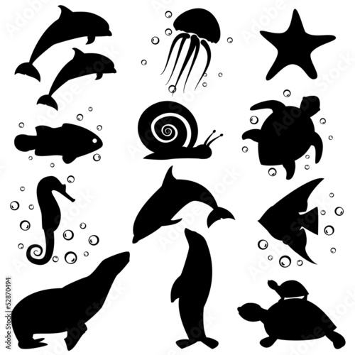 Marine life.