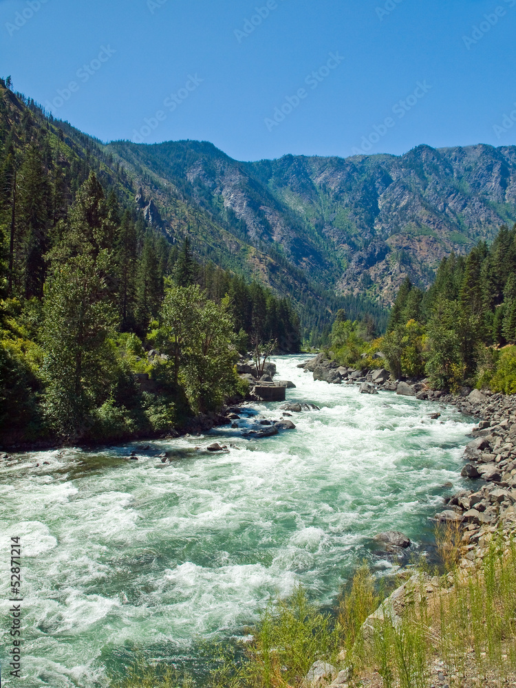 A River Flowing Through a Mountain Forest - WA USA A River Flowing Through a Mountain Forest - WA USA