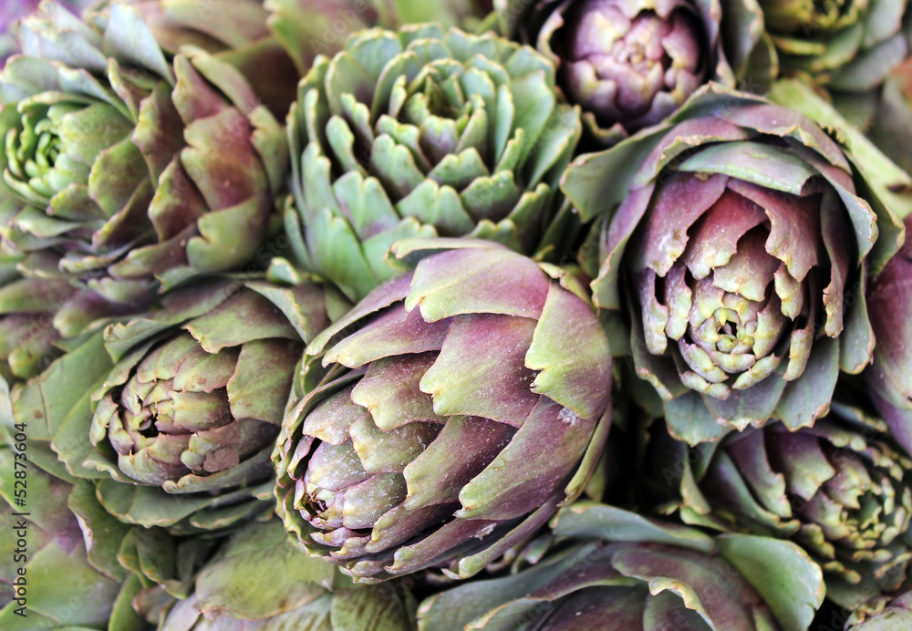 Obraz premium harvest of freshly artichokes