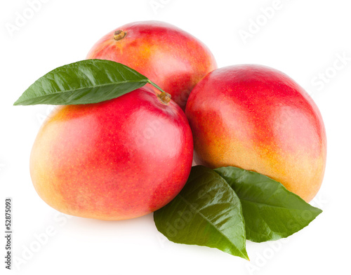 Wallpaper Mural mango fruit isolated on white background Torontodigital.ca