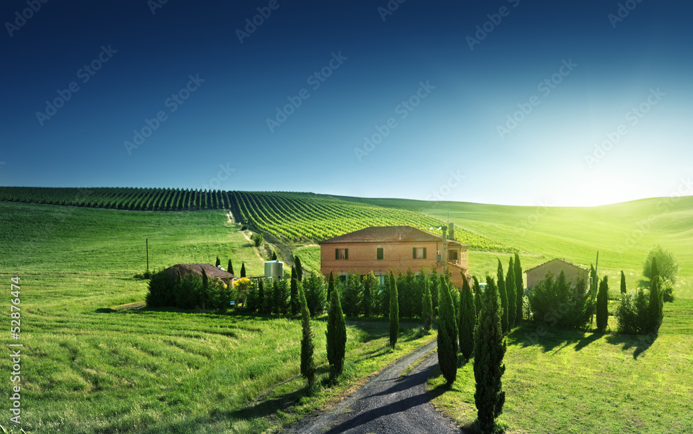 Fototapeta premium Tuscany landscape with typical farm house, Italty