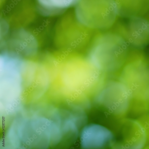 Green springtime bokeh background