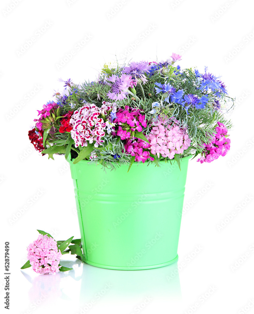 Beautiful bouquet in pail isolated on white Beautiful bouquet in pail isolated on white