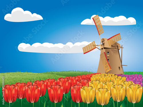 Windmill and tulips