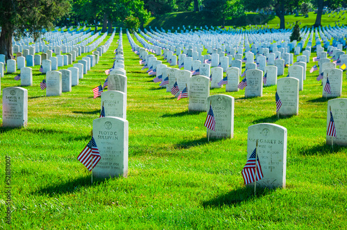 Fotografie, Obraz Arlington National Cemetery in Memorial day