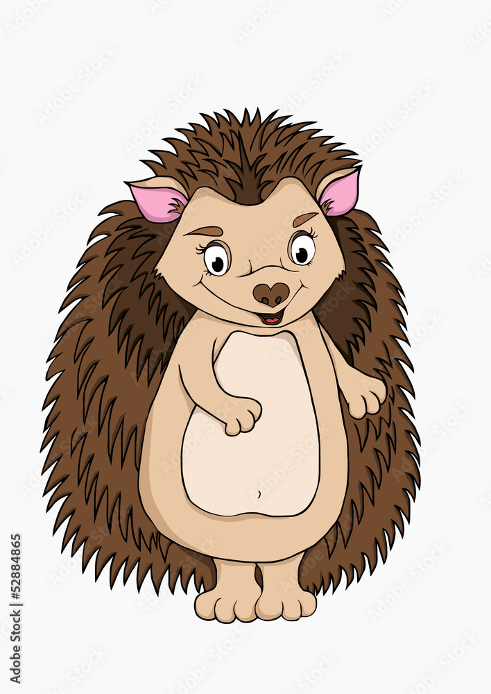 hedgehog hedgehog