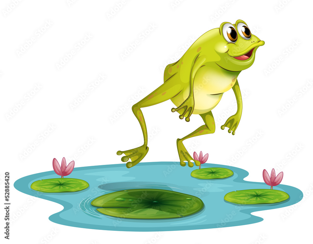 Fototapeta premium A jumping frog at the pond