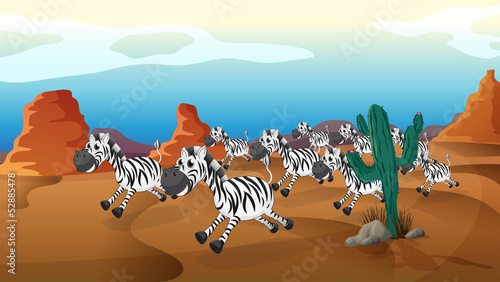 A group of zebra running at the desert