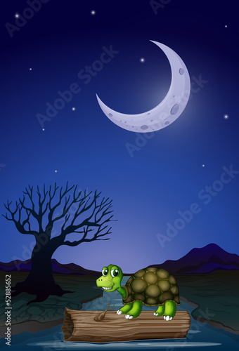 A turtle above the wood floating in the river