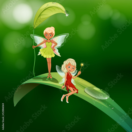 Two playful fairies