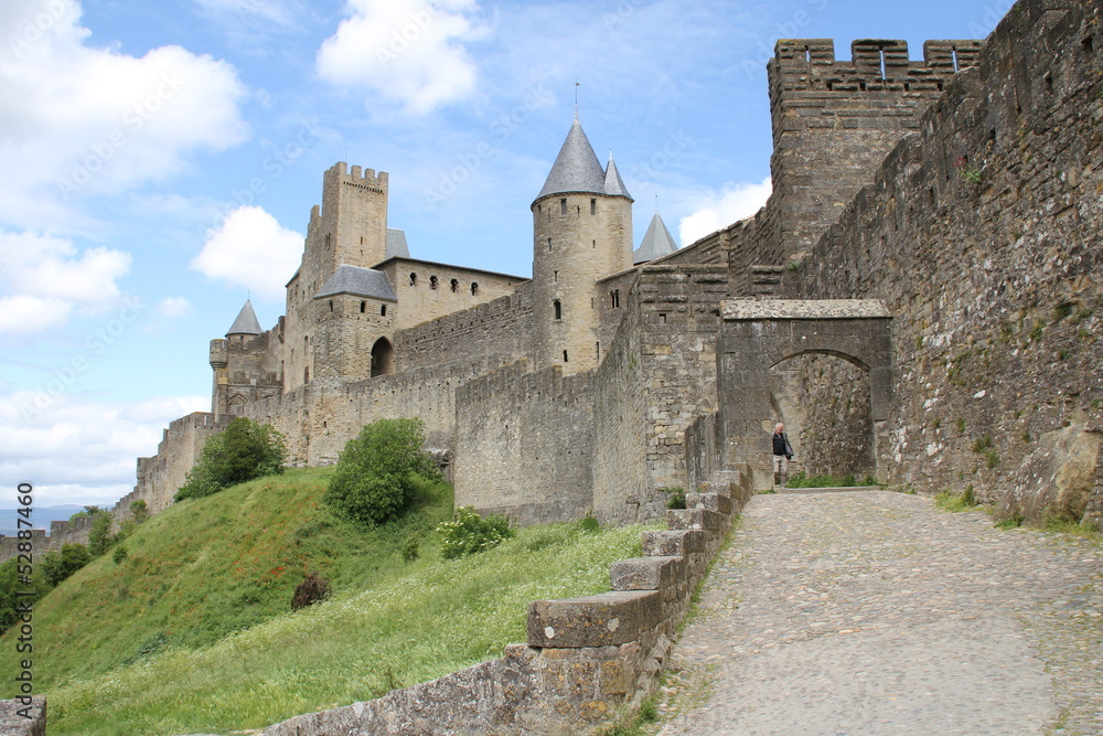 Cité de Carcassonne Cité de Carcassonne