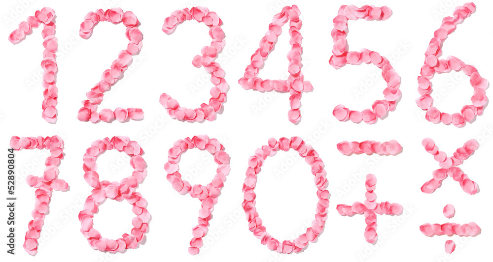 Numeri di petali rosa