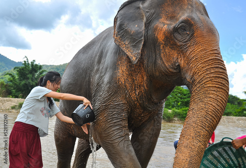 happy female tourist bathing elephant by river