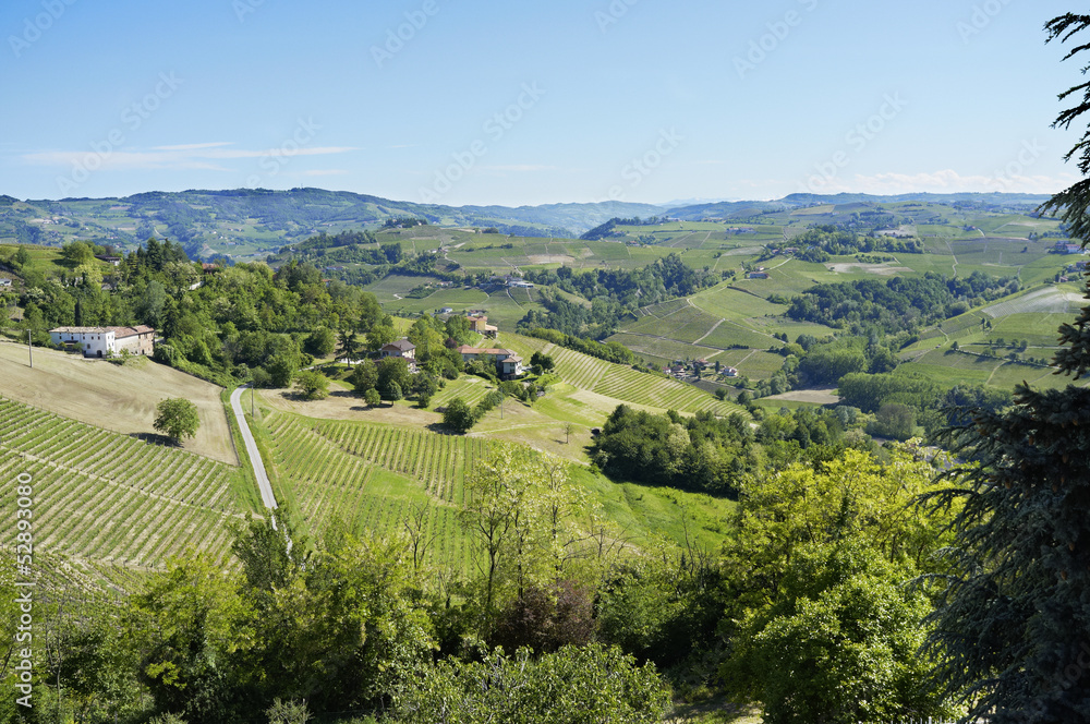 Monferrato springtime sight color image