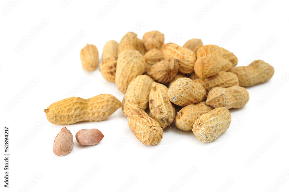 Monkey Nuts Monkey Nuts