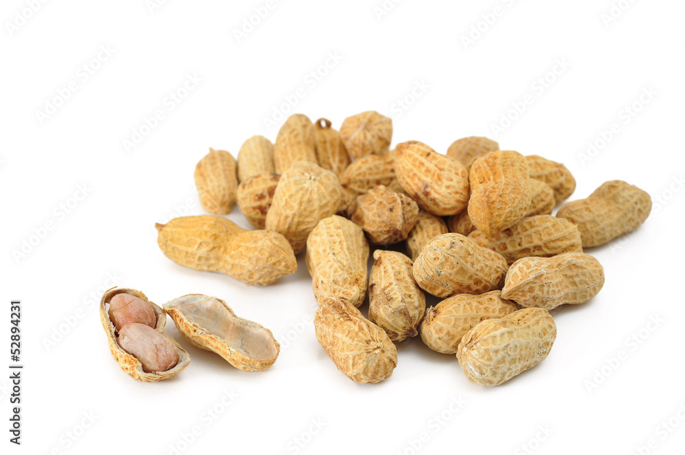 Monkey Nuts Monkey Nuts