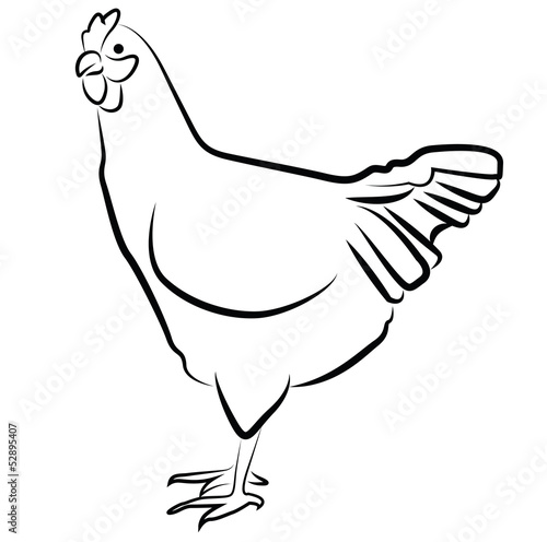 Hen silhouette isolated on white