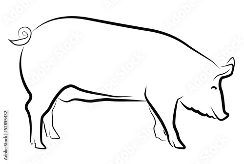 Sow silhouette isolated on white