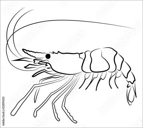 Shrimp silhouette isolated on white