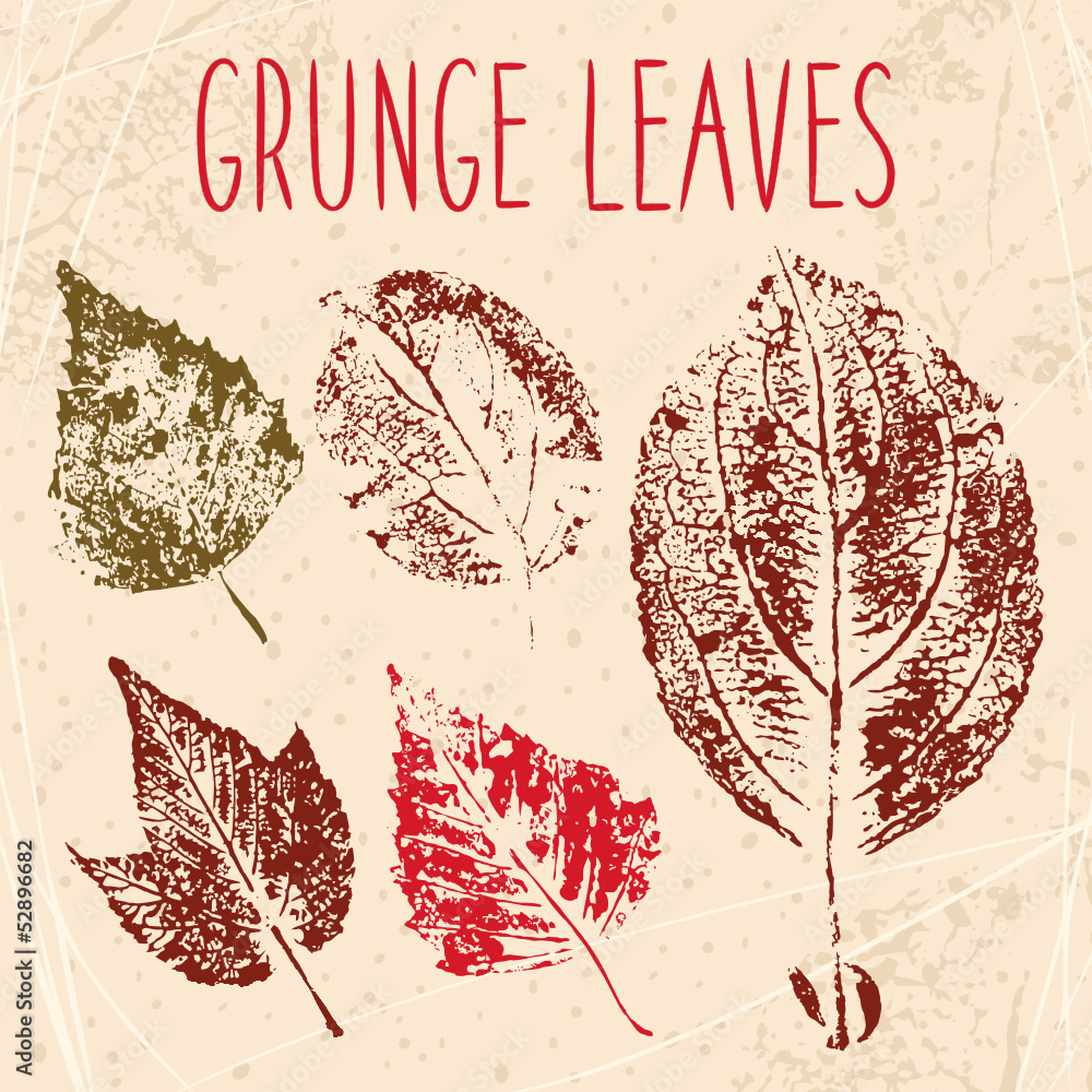 Obraz Grunge leaves