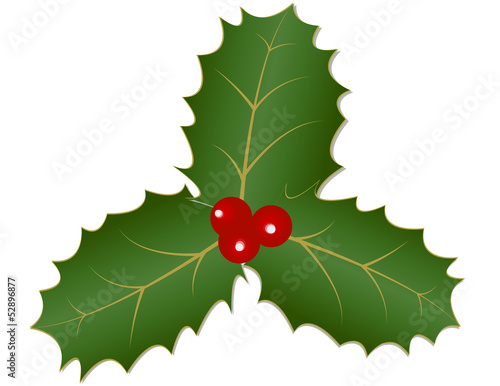 Holly Leaves and Berries