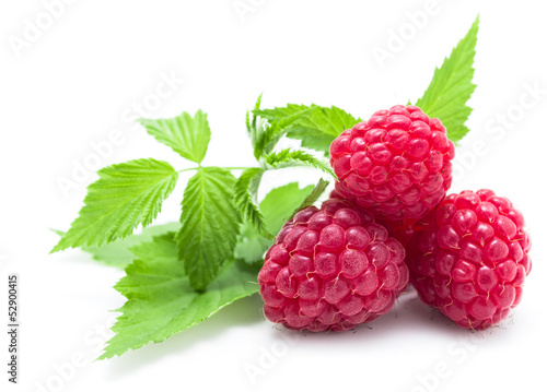 Ripe red raspberries and leaf. Isolated on white