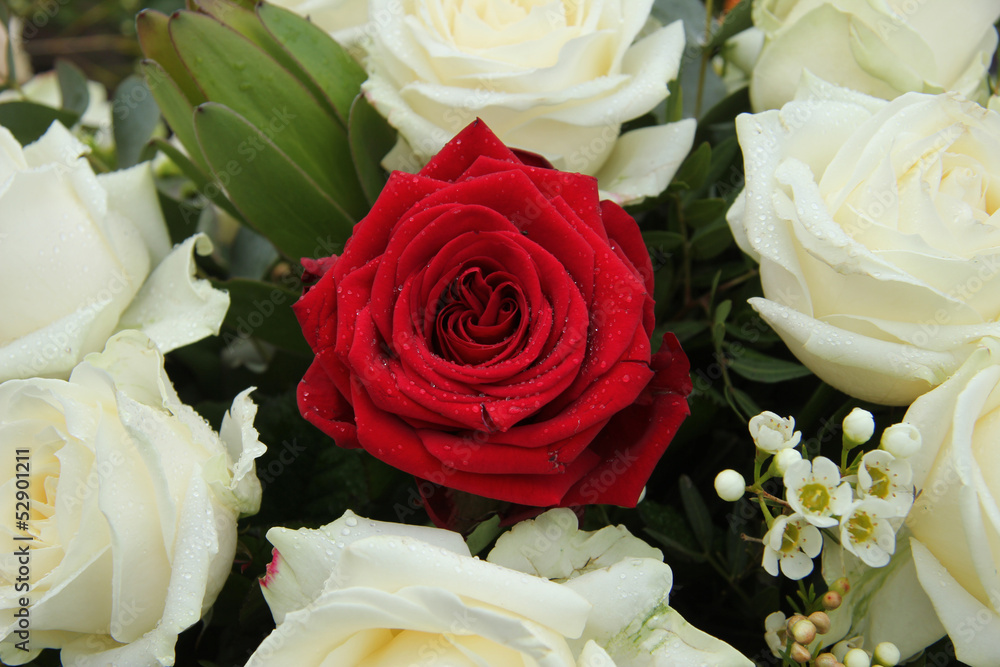 Fototapeta premium Red rose in bridal arrangement