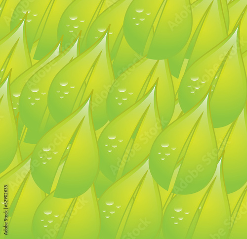 leaves design