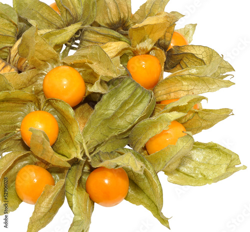 Physalis Fruit