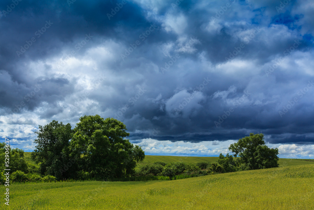 Naklejka premium Rural scenery with storm clouds in summer
