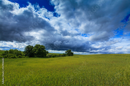 Rural scenery with storm clouds in summer © Calin Tatu