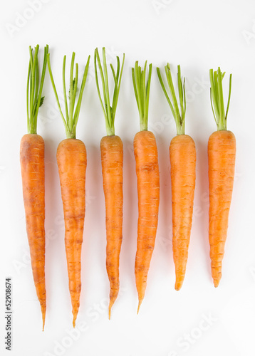 Carrots, isolated on white