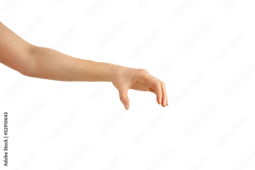 holding hand on a white background holding hand on a white background