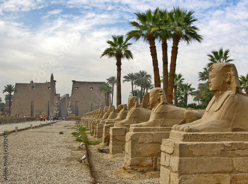 Allee mit Sphinx-Figuren am Tempel von Karnak in Ägypten mit Palmen