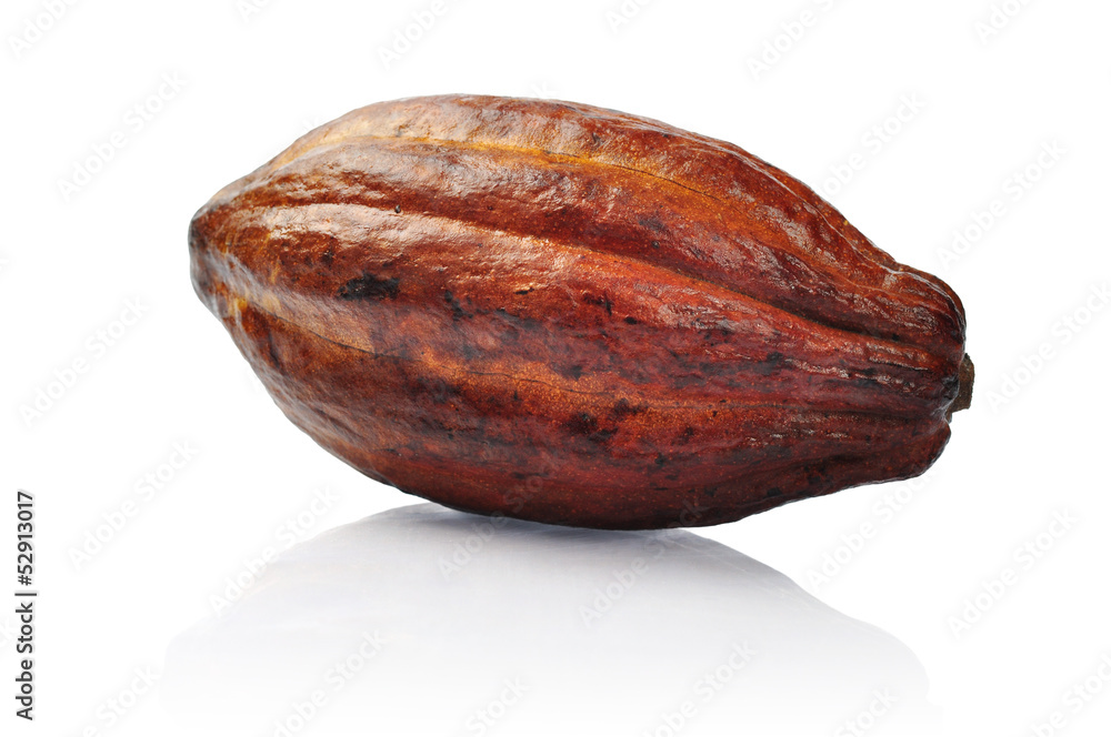 Fresh cacao fruit Fresh cacao fruit