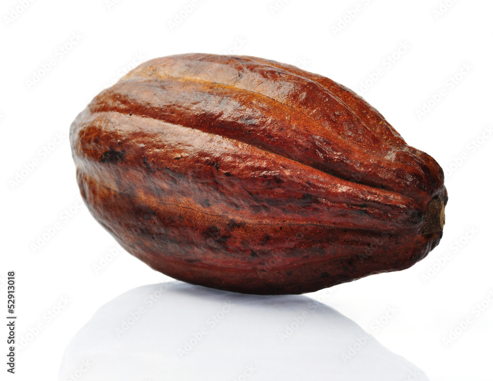 Fresh cacao fruit Fresh cacao fruit