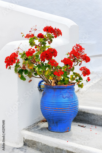 Fototapeta Naklejka Na Ścianę i Meble -  Decorative potted geraniums on stairs in Pyrgos