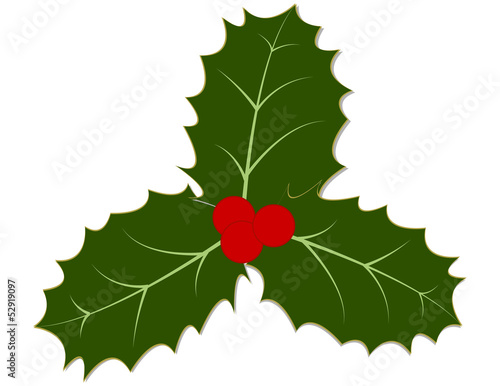 Holly Leaves and Berries